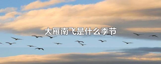 大雁南飞是什么季节