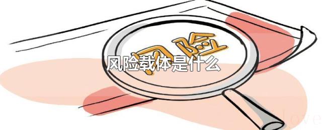 风险载体是什么 风险载体是什么