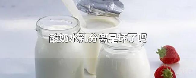 酸奶水乳分离是坏了吗 酸奶水乳分离是坏了吗