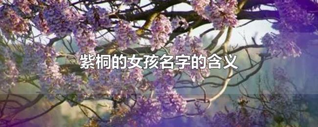 紫桐的女孩名字的含义