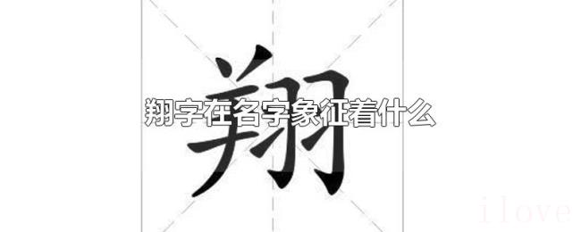 翔字在名字象征着什么 翔字在名字象征着什么