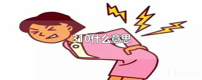 310什么意思 310什么意思