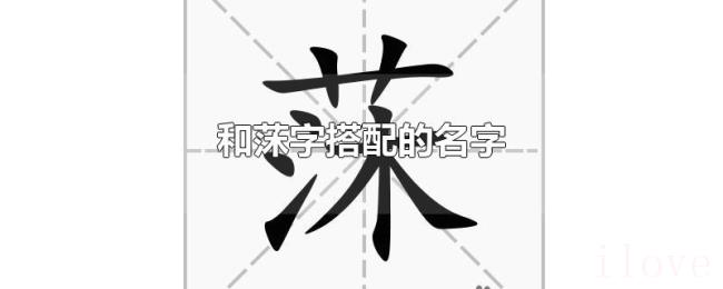 和莯字搭配的名字 和莯字搭配的名字