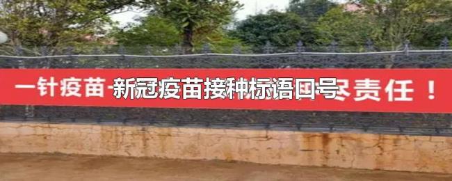 新冠疫苗接种标语口号