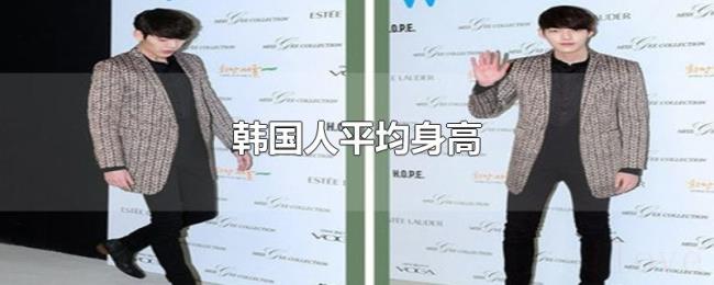 韩国人平均身高 韩国人平均身高