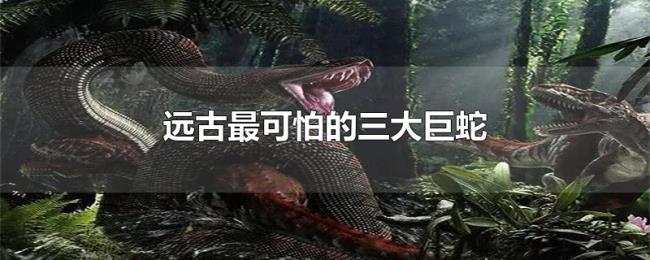 远古最可怕的三大巨蛇 远古最可怕的三大巨蛇