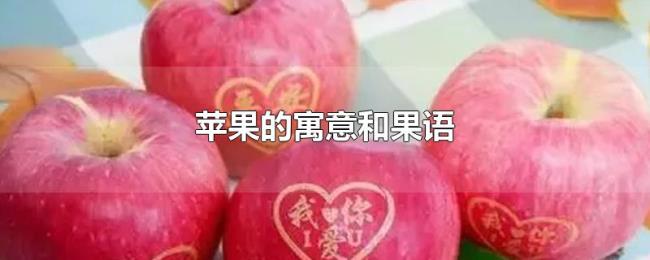 苹果的寓意和果语 苹果的寓意和果语