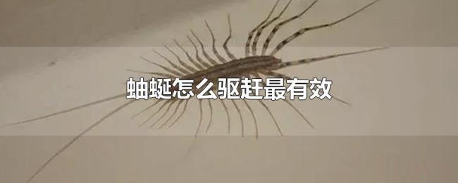 蚰蜒怎么驱赶最有效 蚰蜒怎么驱赶最有效