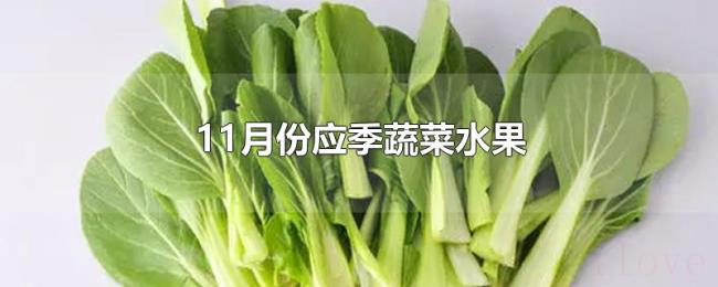 11月份应季蔬菜水果 11月份应季蔬菜水果