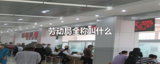 劳动局全称叫什么