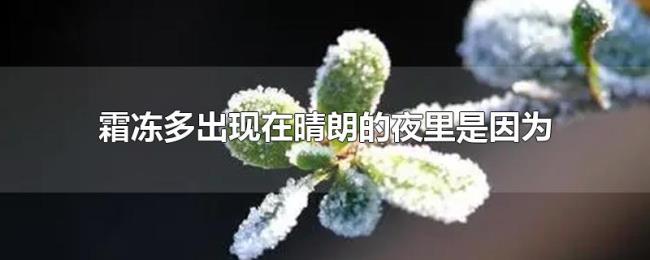 霜冻多出现在晴朗的夜里是因为
