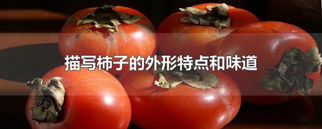 描写柿子的外形特点和味道