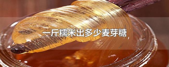 一斤糯米出多少麦芽糖