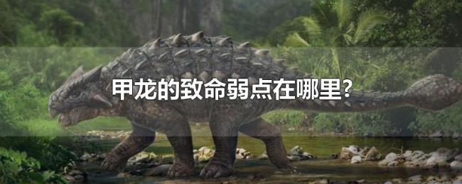 甲龙的致命弱点在哪里? 甲龙的致命弱点在哪里?