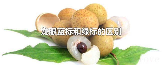 龙眼蓝标和绿标的区别 龙眼蓝标和绿标的区别