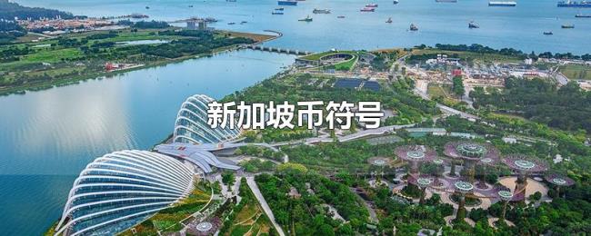 新加坡币符号