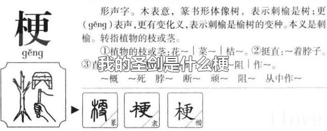 我的圣剑是什么梗 我的圣剑是什么梗