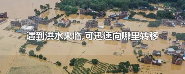 遇到洪水来临,可迅速向哪里转移