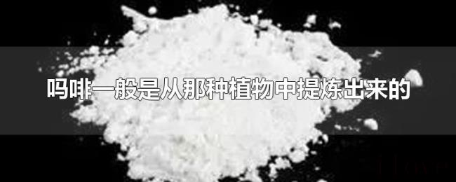 吗啡一般是从那种植物中提炼出来的