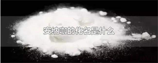 安纳咖的化名是什么