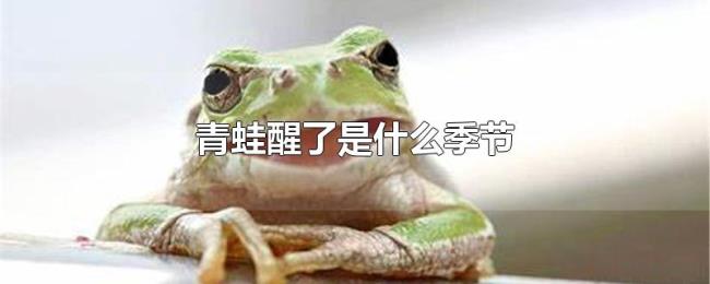 青蛙醒了是什么季节 青蛙醒了是什么季节