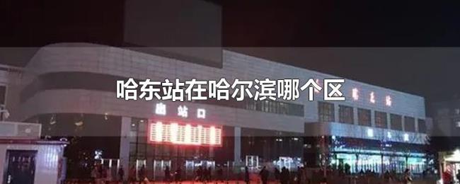 哈东站在哈尔滨哪个区