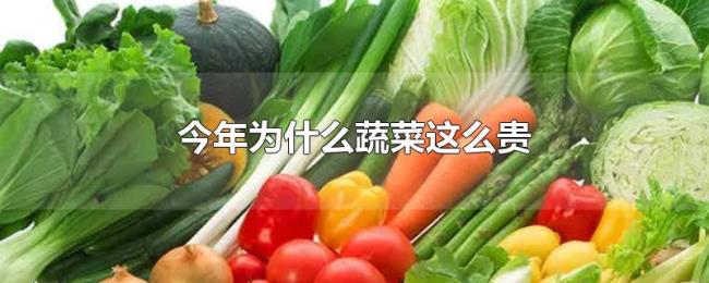今年为什么蔬菜这么贵 今年为什么蔬菜这么贵