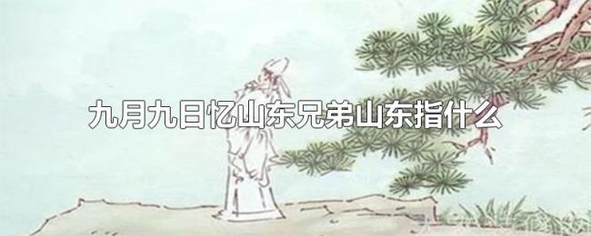 九月九日忆山东兄弟山东指什么