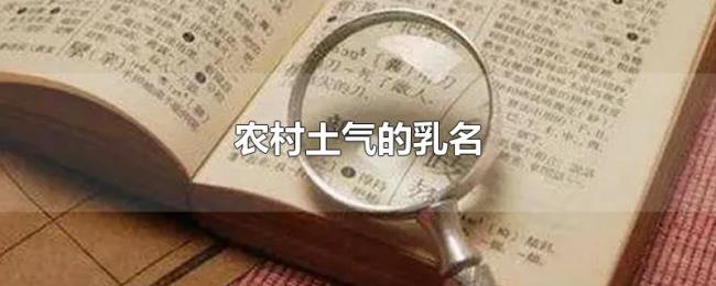 农村土气的乳名