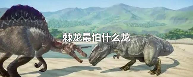 棘龙最怕什么龙