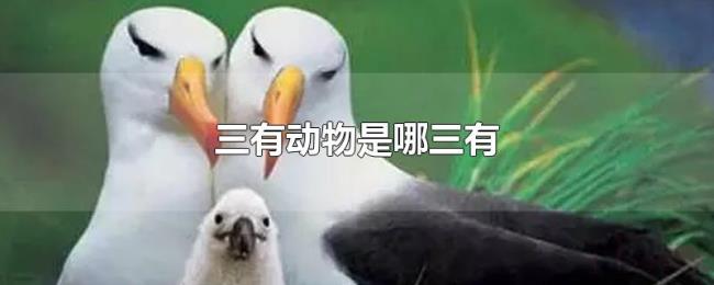 三有动物是哪三有 三有动物是哪三有