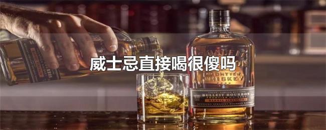 威士忌直接喝很傻吗