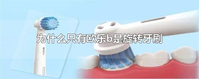 为什么只有欧乐b是旋转牙刷