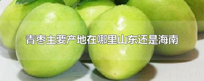 青枣主要产地在哪里山东还是海南