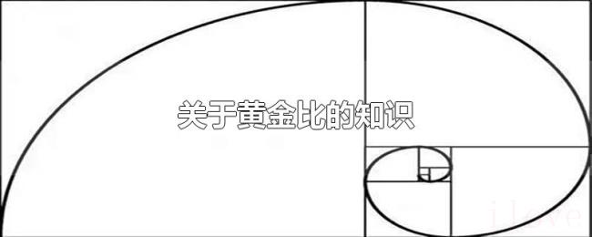 关于黄金比的知识