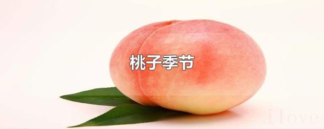 桃子季节 桃子季节