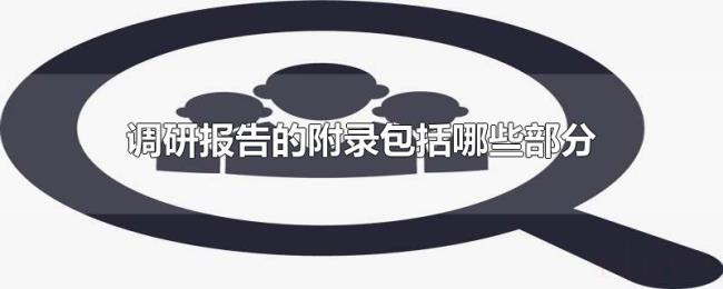 调研报告的附录包括哪些部分 调研报告的附录包括哪些部分