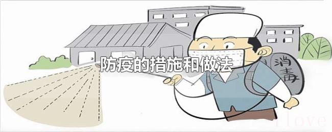 防疫的措施和做法