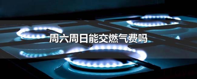 周六周日能交燃气费吗