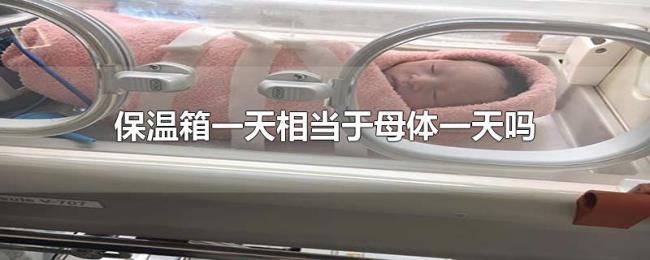 保温箱一天相当于母体一天吗 保温箱一天相当于母体一天吗