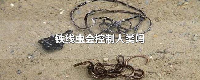 铁线虫会控制人类吗