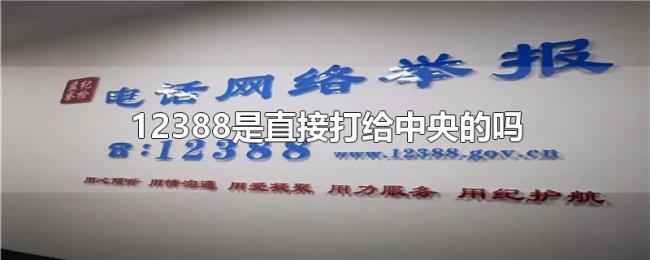 12388是直接打给中央的吗