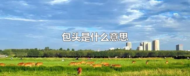 包头是什么意思 包头是什么意思