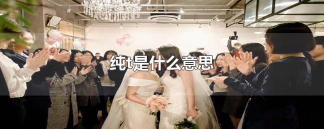 纯t是什么意思 纯t是什么意思