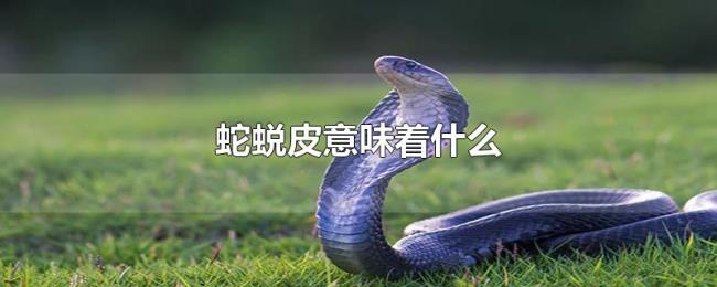 蛇蜕皮意味着什么