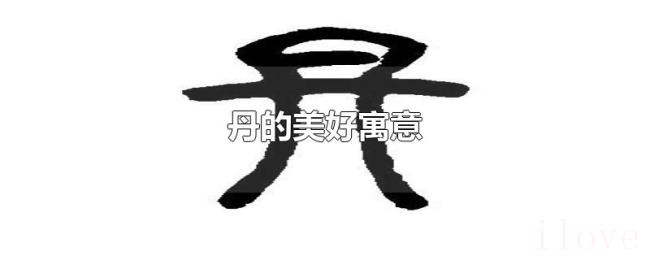 丹的美好寓意