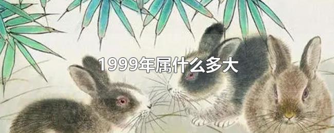 1999年属什么多大 1999年属什么多大