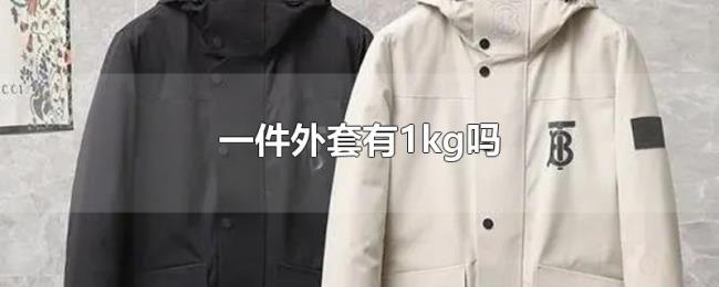 一件外套有1kg吗