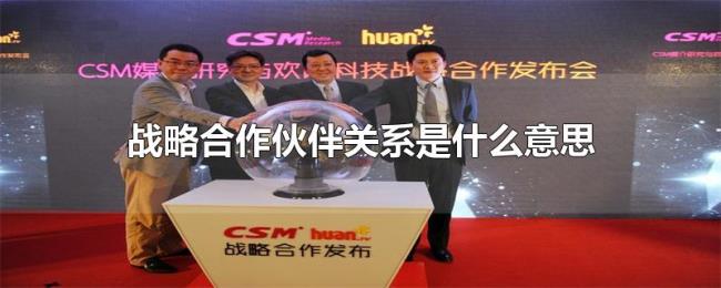 战略合作伙伴关系是什么意思