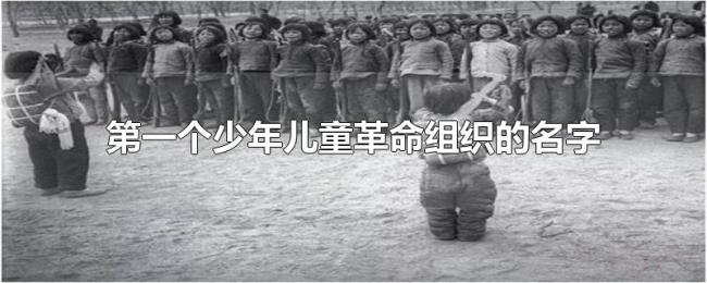 第一个少年儿童革命组织的名字 第一个少年儿童革命组织的名字